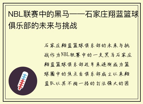 NBL联赛中的黑马——石家庄翔蓝篮球俱乐部的未来与挑战